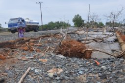 ABRASI TRANS KALIMANTAN