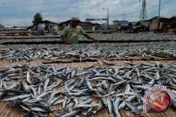 Nelayan pantai timur Jambi butuh 80 ton es perhari