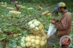 Penderita Kanker Payudara Asal Melawi Akhirnya Meninggal