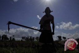 SAD diberi hak kelola lahan 2100 hektare