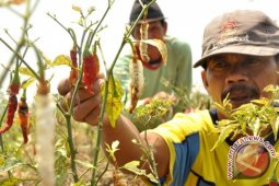 Rp 15,10 miliar untuk BLM-PUAP di Batanghari