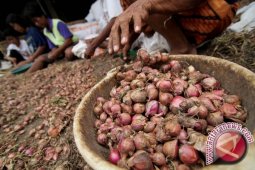 Harga rempah-rempah di Jambi bertahan