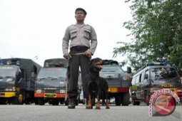 BNNP Kalbar Ajukan Anjing Pelacak Jaga PPLB