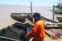 Pascagempa ratusan penambang batubara takut bekerja