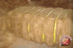 DPRD: Potensi Kelapa Kubu Raya Belum Dioptimalkan