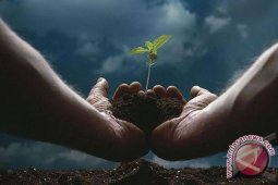 Mahasiswa arsitektur wajib tanam pohon