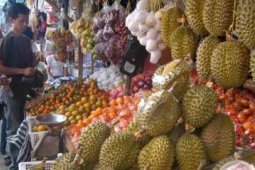 PEMBERLAKUAN REKOMENDASI HORTIKULTURA