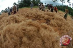 Pengusaha Sabut Kelapa India dan Srilanka Jajaki RI