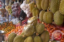 Buah asal Manokwari banjiri Jayapura