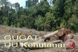 Warga Nunukan Ajukan Uji Materi UU Kehutanan