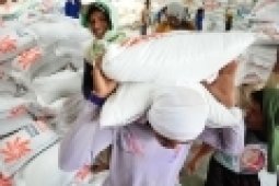 Mentan Larang Bulog Kalsel Ambil Beras Sulsel