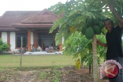 Halaman Rumah Membawa Berkah