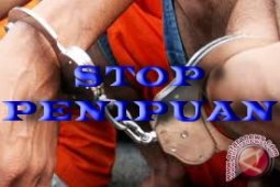 Nama Bupati PPU Dipakai Modus Penipuan