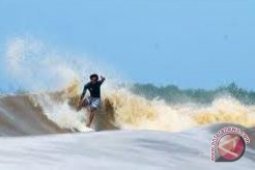 Gelombang Bono Pukau Menko Kesra