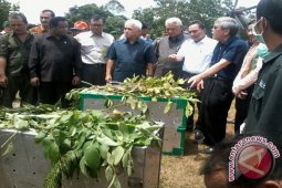 Tiga Menteri Lepas Liarkan Tiga Orangutan