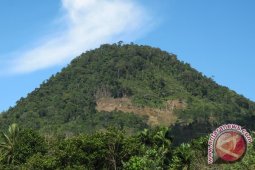 Polisi kehutanan disiagakan di bukit daun