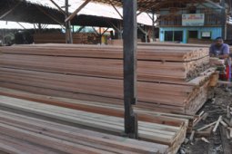 HARGA KAYU TURUN