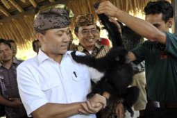 RANGKAIAN HARI BUMI