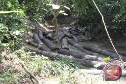 Polisi gagalkan perambahan hutan di Tebo