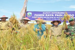 PANEN RAYA