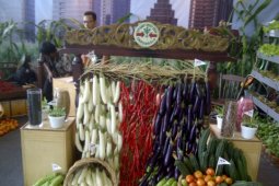 Hortindo: Stabilitas Harga Jadi Kendala Sektor Hortikultura