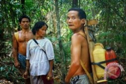 Bupati Balangan Pengurus Dewan Adat