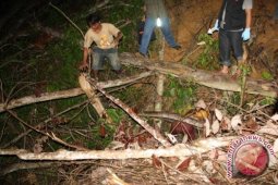 Sesosok Mayat Wanita Ditemukan di Kutai Timur