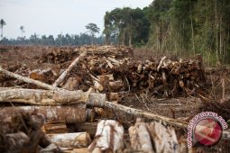 Orang Rimba pun dukung program REDD