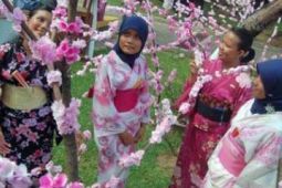 TAMAN SAKURA