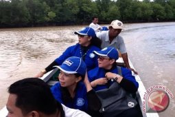 Awasi Penebangan Liar Hutan Mangrove !