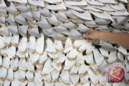 Dukung Makan Makanan Tanpa Hiu