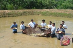 Kalbar Dorong Investasi Sektor Budidaya Perikanan