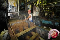 Gapki Targetkan Produksi CPO 2013 Naik 4%