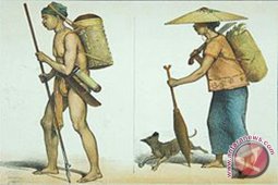 Cara Dayak Meratus Manfaatkan Lahan