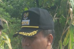 Bupati: Wilayah Perbatasan Nikmati Listrik 2012