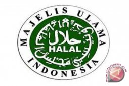 MUI buka layanan online untuk sertifikasi halal