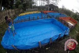 Pembudidaya Ikan Terima Sertifikat KKP