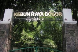 Festival Budaya Bogor Janjikan Pertunjukan Kolosal