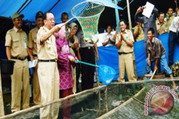 PANEN IKAN PERDANA