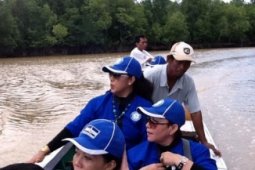 Jelajahi Hutan Mangrove