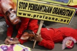 Penampungan Satwa Tua Segera Dibangun di Malang