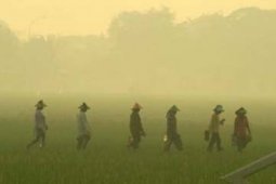 BURUH TANI
