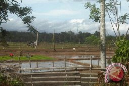 Presiden minta sarana pertanian terus dipelihara