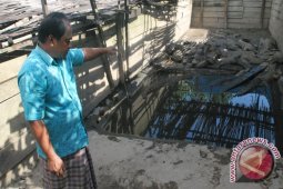 Irsanie Akan Jual Buaya Peliharaannya ke Malaysia