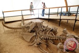 Tesis doktoral Menkeu ini ketahuan plagiat