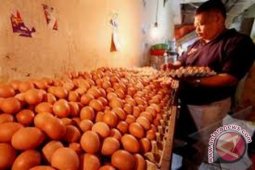 Harga Kebutuhan Pokok di Kayong Utara Terus Naik