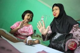 Gubernur Lalai Sikapi  Penyebaran DBD