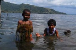 MENCARI GULMA