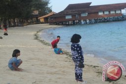 Pemerintah Daerah Terus Sosialisasikan Sail Derawan 2013