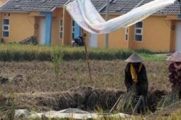 KONVERSI LAHAN PERTANIAN
